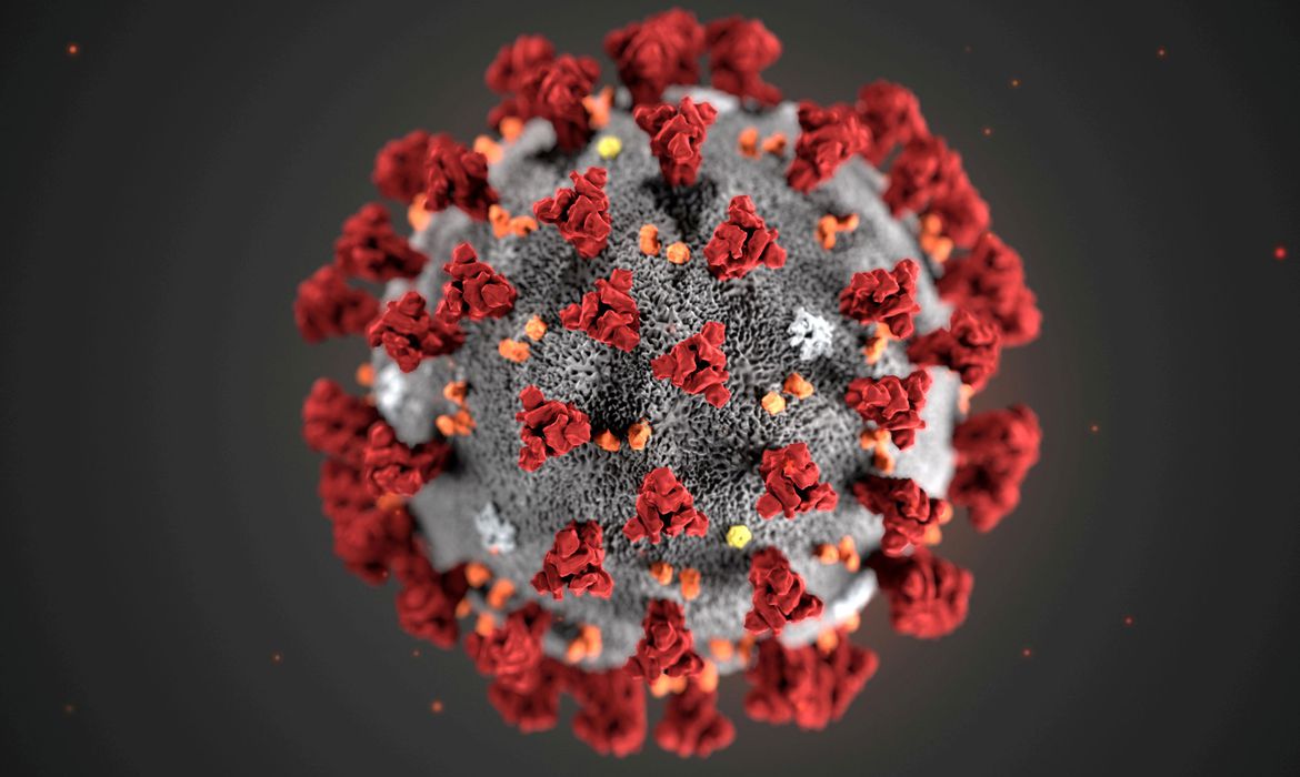 Coronavírus e Comércio Exterior: saiba como a pandemia pode impactar o mercado