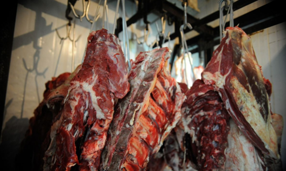 exportação de carne bovina 