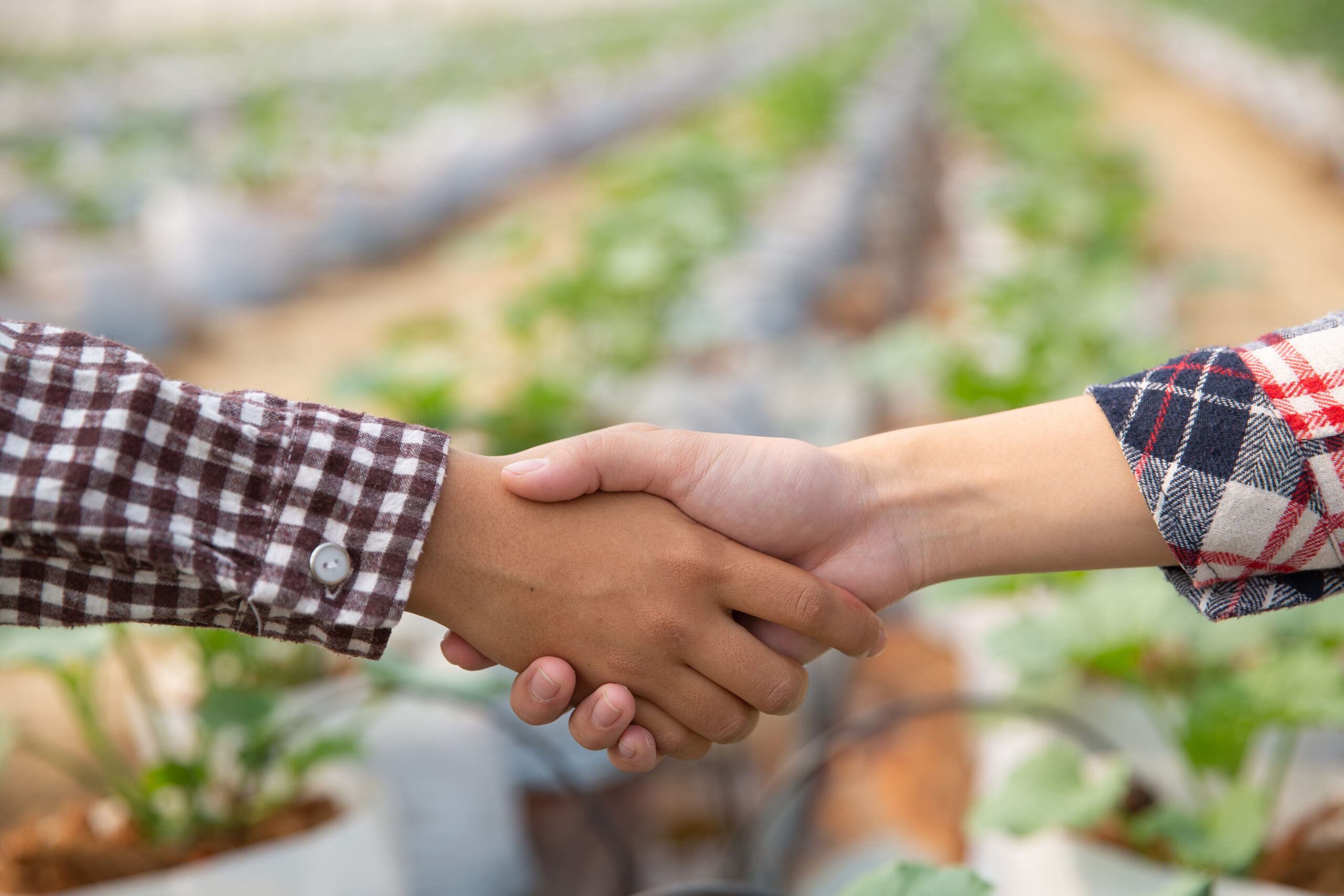 Novo acordo para a cooperação agrícola Brasil-Vietnã traz implicações positivas para o Comércio Exterior