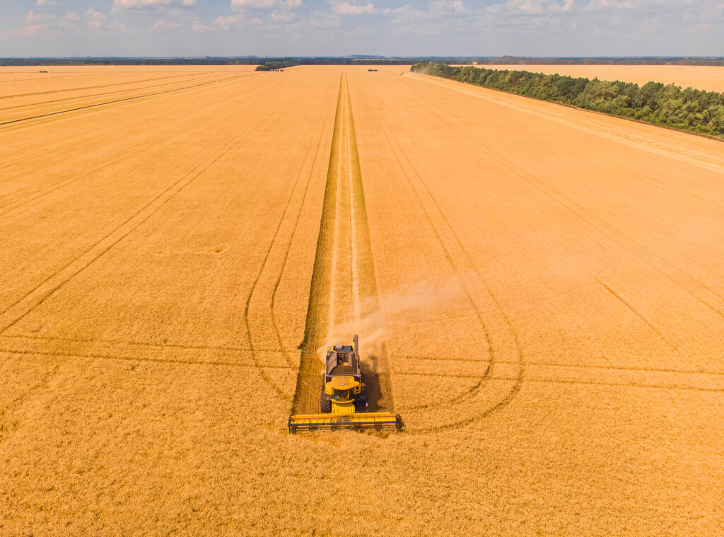 Campo de cultivo para a exportação de soja